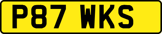 P87WKS