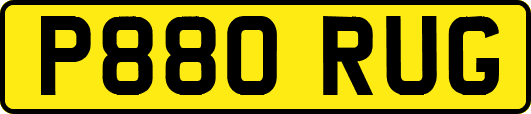 P880RUG