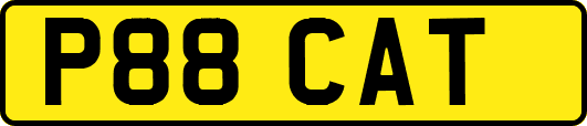 P88CAT