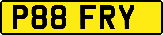 P88FRY