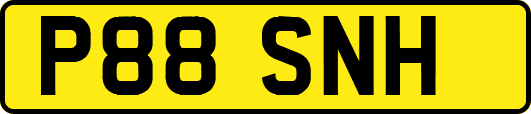 P88SNH