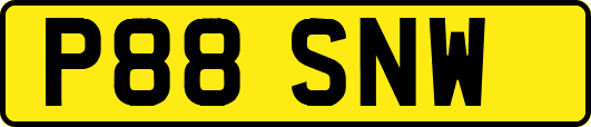 P88SNW