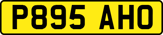 P895AHO