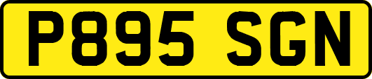 P895SGN