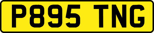 P895TNG