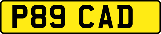 P89CAD