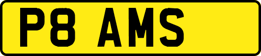 P8AMS