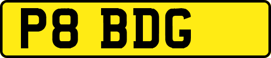 P8BDG