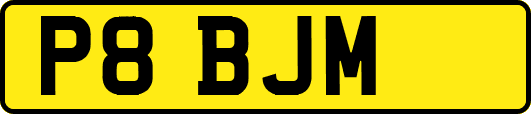 P8BJM