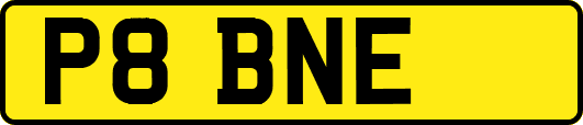 P8BNE