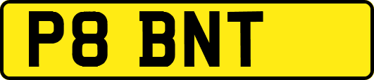 P8BNT