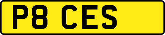 P8CES
