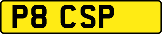 P8CSP