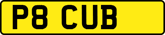 P8CUB
