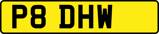 P8DHW