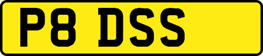 P8DSS
