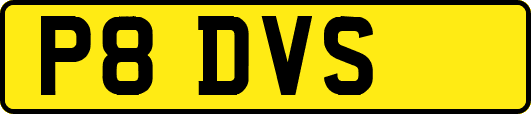 P8DVS