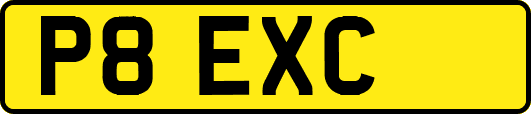 P8EXC
