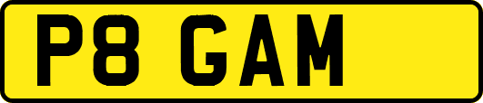 P8GAM