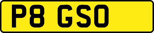 P8GSO