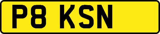 P8KSN