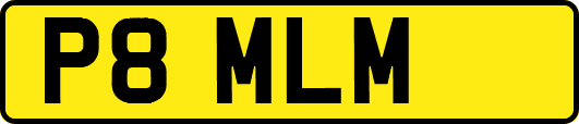 P8MLM