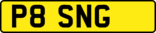 P8SNG