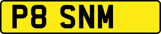 P8SNM
