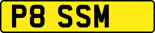 P8SSM