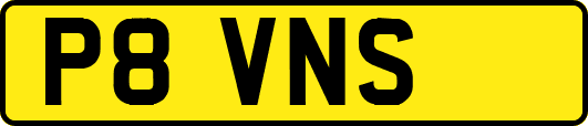 P8VNS