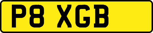 P8XGB