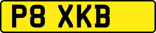 P8XKB