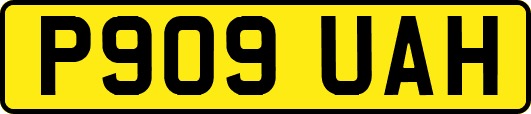 P909UAH