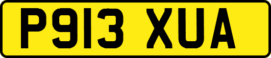 P913XUA
