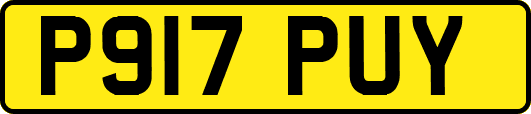 P917PUY