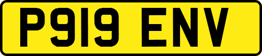 P919ENV