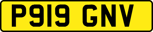 P919GNV