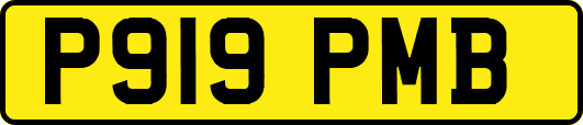 P919PMB