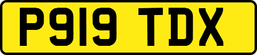 P919TDX