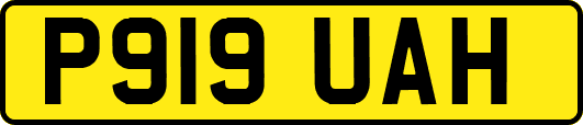 P919UAH