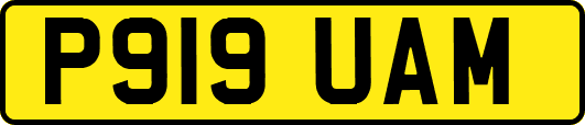 P919UAM