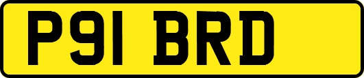 P91BRD
