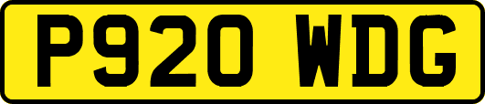 P920WDG