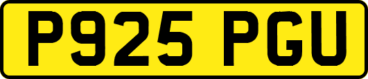 P925PGU
