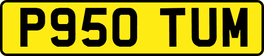 P950TUM