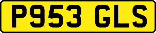 P953GLS