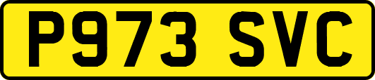 P973SVC