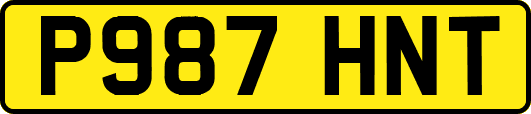 P987HNT