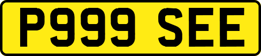 P999SEE