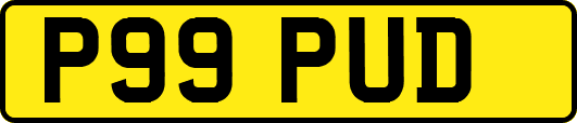 P99PUD